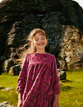 Load image into Gallery viewer, NWT Mini Boden Tiered Velour Dress