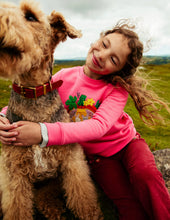 Load image into Gallery viewer, MWT Mini Boden Appliqué Sweatshirt