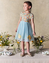 Load image into Gallery viewer, NWT Mini Boden Ami Applique Tulle Dress(Minor flaws) 3-4Y
