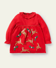 Load image into Gallery viewer, NWOT Mini Boden Jersey Appliqué Dress