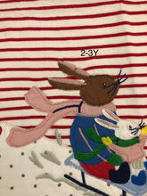 Load image into Gallery viewer, NWOT Baby Boden Big Appliqué Dress Set
