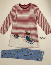 Load image into Gallery viewer, NWOT Baby Boden Big Appliqué Dress Set