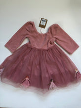Load image into Gallery viewer, NEW Mini Boden Velvet Tulle Appliqué Dress