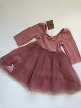 Load image into Gallery viewer, NEW Mini Boden Velvet Tulle Appliqué Dress