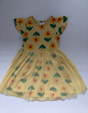 Load image into Gallery viewer, NWOT Hanna Andersson Print Tulle Dress