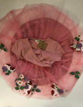 Load image into Gallery viewer, NWT Mini Boden Applique Tulle Ballet Dress
