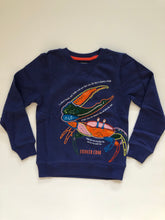 Load image into Gallery viewer, NWOT Mini Boden Nature Facts Appliqué Crab Sweatshirt