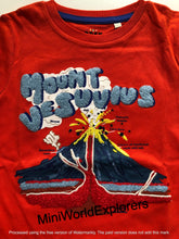 Load image into Gallery viewer, NWOT Mini Boden Educational Textured Nature Facts T-Shirt