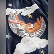 Load image into Gallery viewer, NWOT Mini Boden Twirly Velour Appliqué Dress