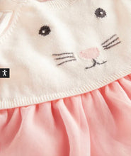 Load image into Gallery viewer, NWT Mini Boden Knitted Tulle Dress