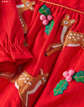 Load image into Gallery viewer, NWT Mini Boden Jersey Appliqué Dress