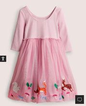 Load image into Gallery viewer, NWT Mini Boden Pink Velvet Bodice Tulle Dress
