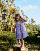Load image into Gallery viewer, NWT Mini Boden Winnie Tulle Tiered Dress
