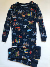Load image into Gallery viewer, NWOT Little Sleepies Harry Potter Evening at Hogwarts Two-Piece Pajama Set
