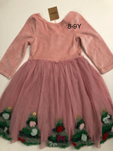 Load image into Gallery viewer, NEW Mini Boden Velvet Tulle Appliqué Dress
