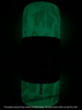 Load image into Gallery viewer, NWT Owala Boo-Ya  Color Drop 32 oz Freesip Bottle
