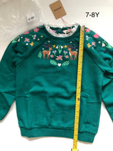 Load image into Gallery viewer, NWT Mini Boden Embroidered Sweat
