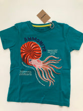 Load image into Gallery viewer, NWT Mini Boden Animal Facts T-shirt
