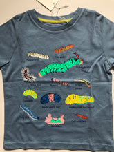 Load image into Gallery viewer, NWT Mini Boden  Insects Educational T-shirt

