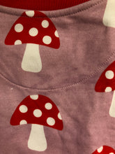 Load image into Gallery viewer, NWOT Mini Boden Loopback Sweatshirt Dress(minor fabric flaws)
