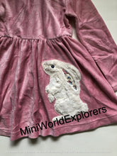 Load image into Gallery viewer, NWOT Mini Boden Twirly Velour Appliqué Dress
