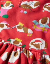 Load image into Gallery viewer, NWT Mini Boden Cosy sweatshirt Dress
