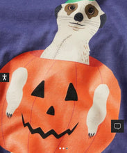 Load image into Gallery viewer, NWT Mini Boden Meerkat Double Layer T-shirt 🎃 👻
