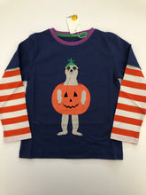 Load image into Gallery viewer, NWT Mini Boden Meerkat Double Layer T-shirt 🎃 👻
